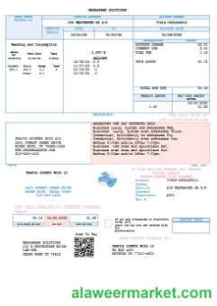 USA Texas Dasor Management and Investment business utility bill template in Word nd PDF formats